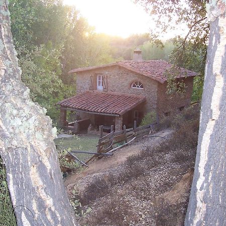 Casas El Alamillo- El Castanero Guest House Галароса Екстериор снимка