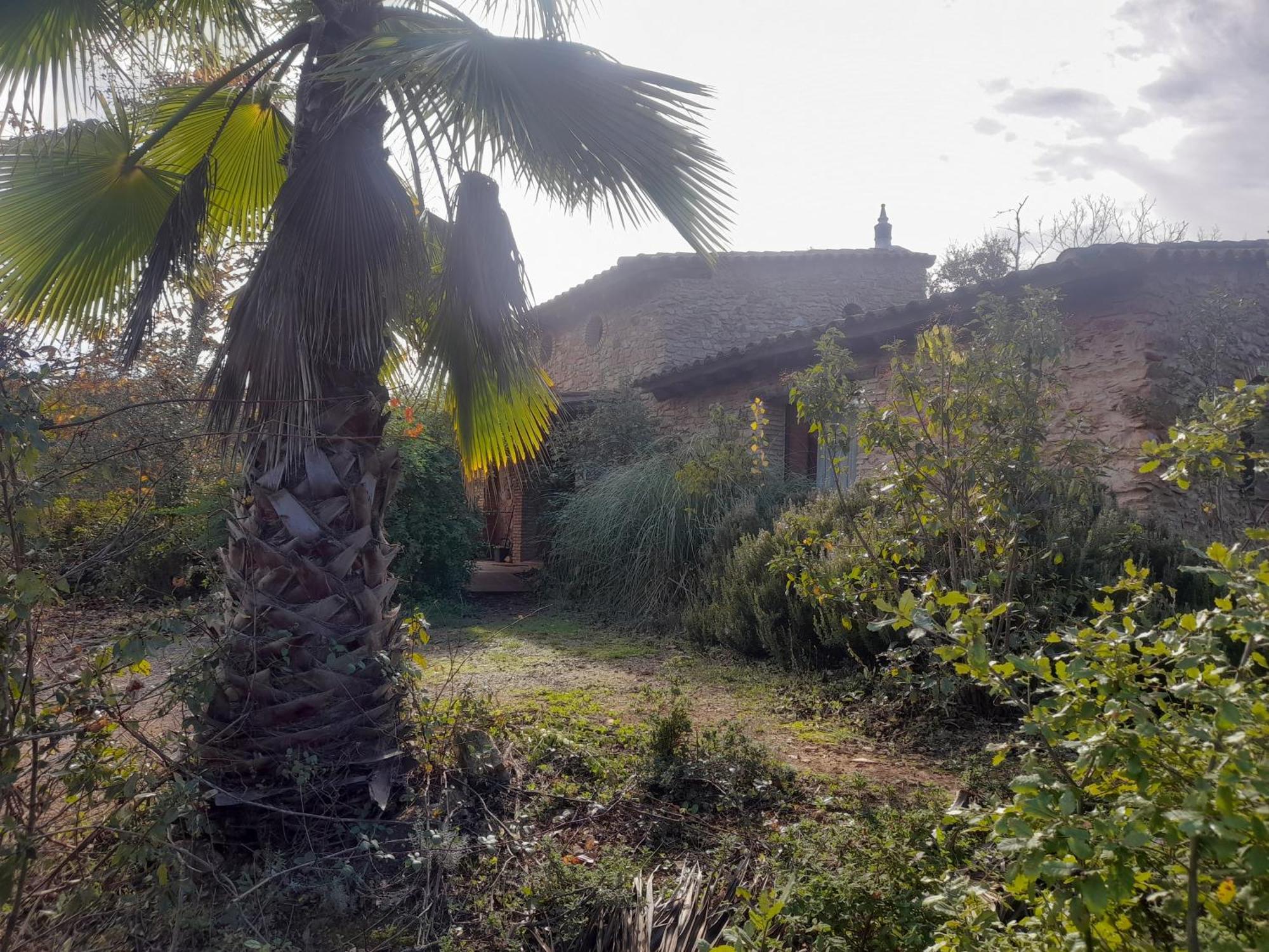 Casas El Alamillo- El Castanero Guest House Галароса Екстериор снимка