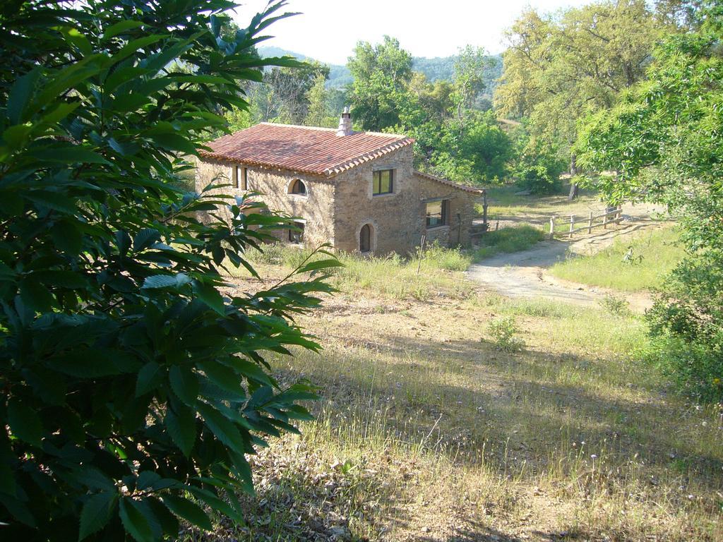 Casas El Alamillo- El Castanero Guest House Галароса Екстериор снимка